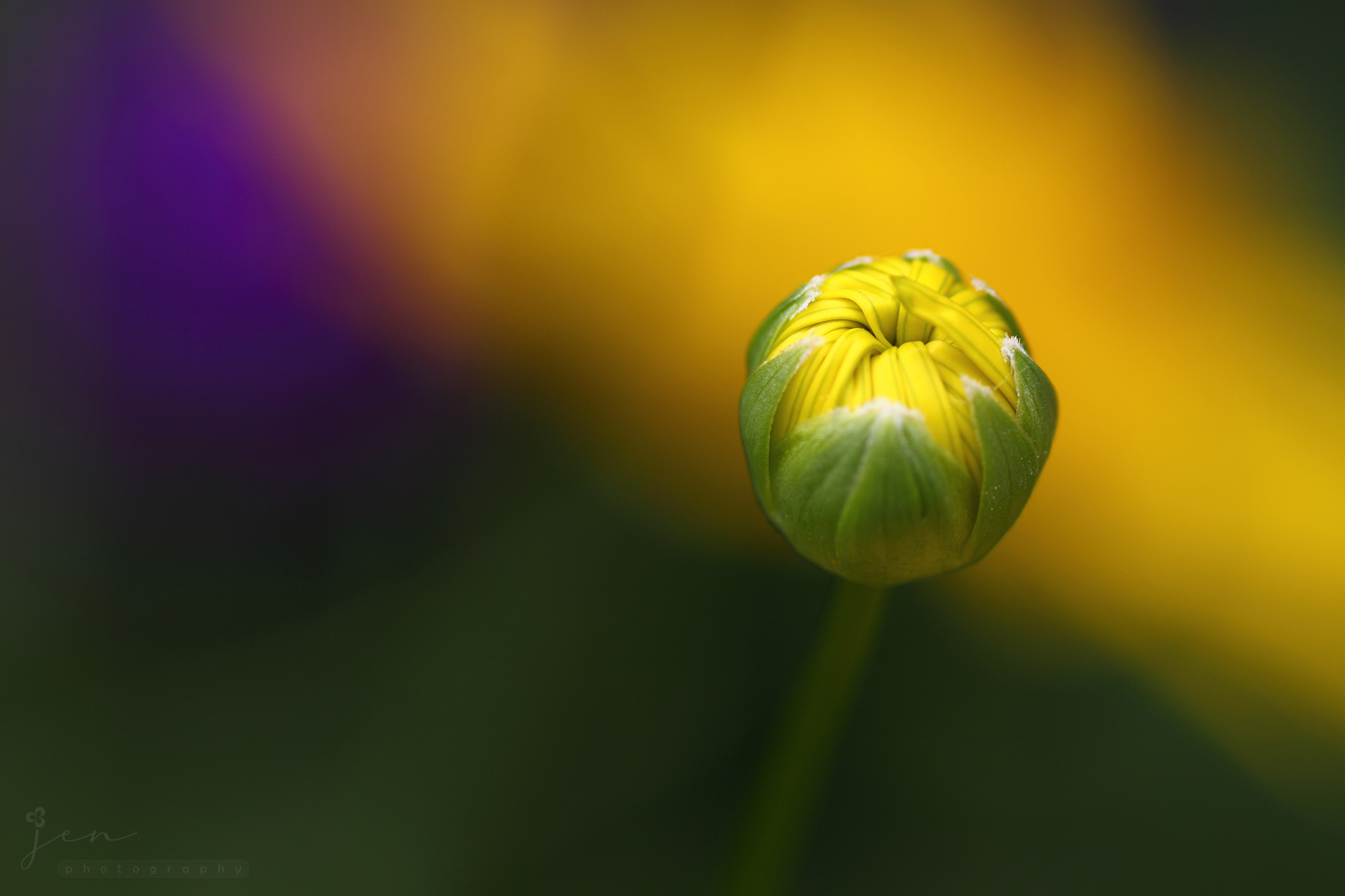 Victoria Park, Hong Kong
