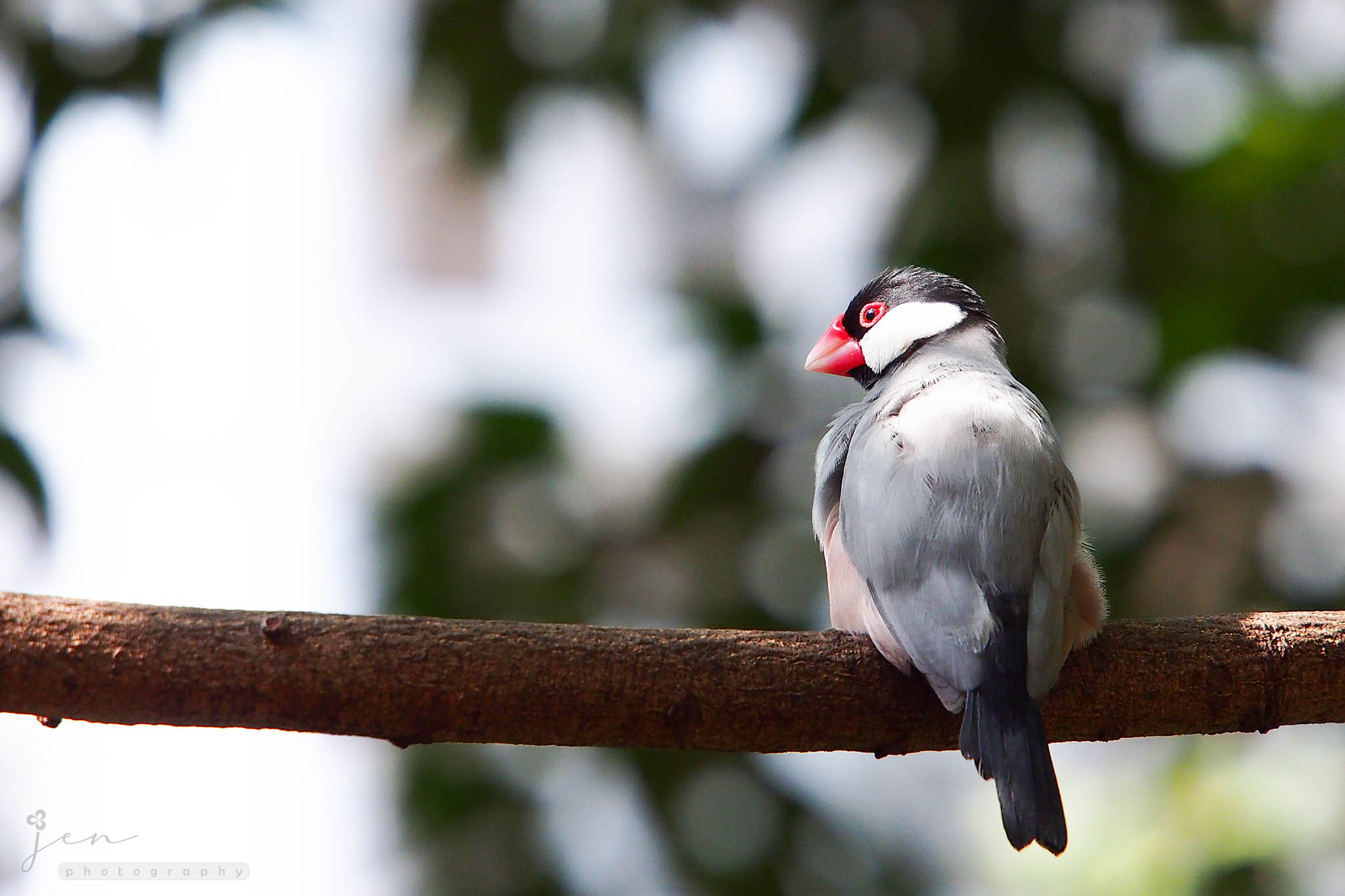 Hong Kong Park, Hong Kong