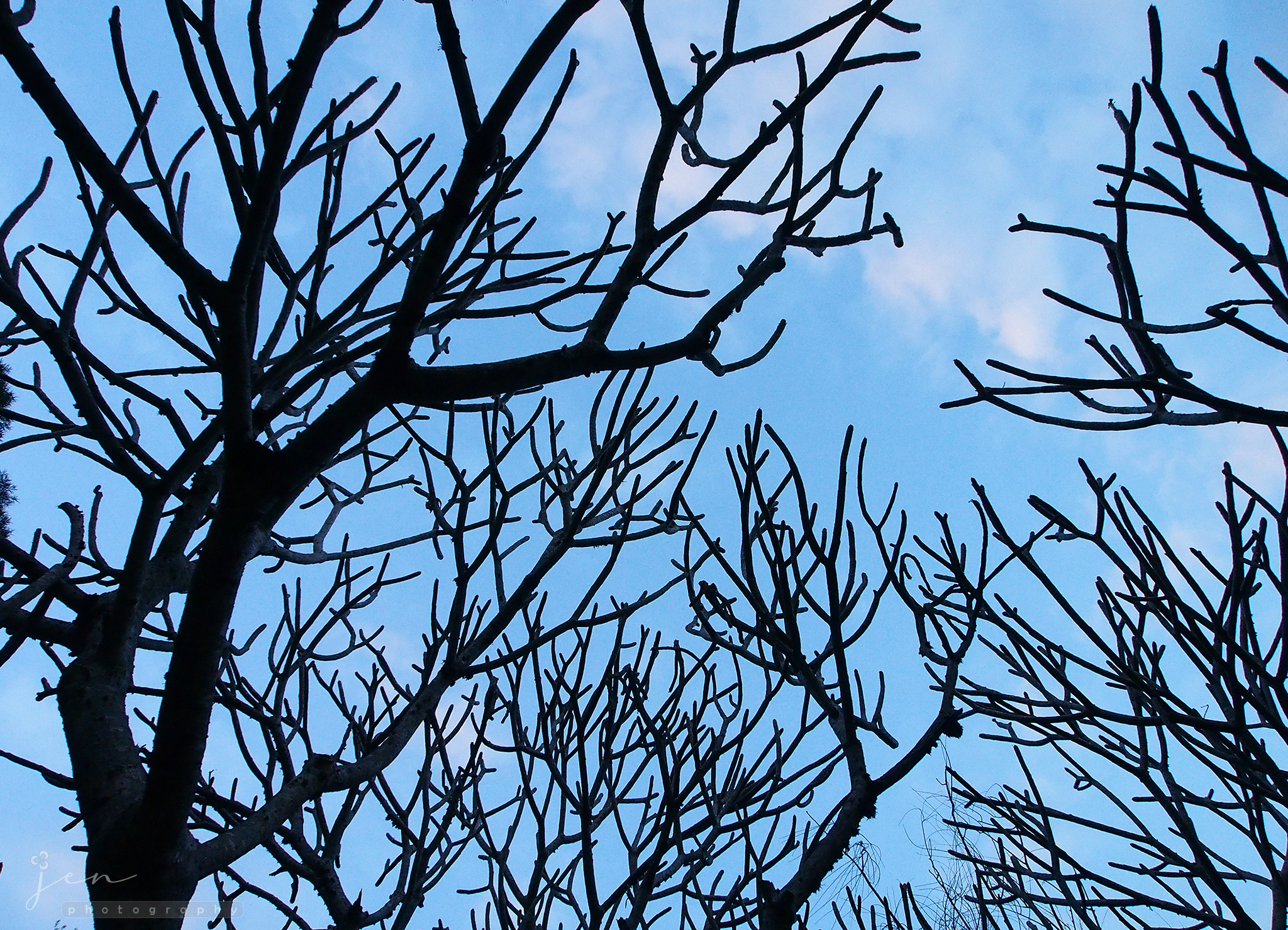 The Chinese University of Hong Kong, Hong Kong