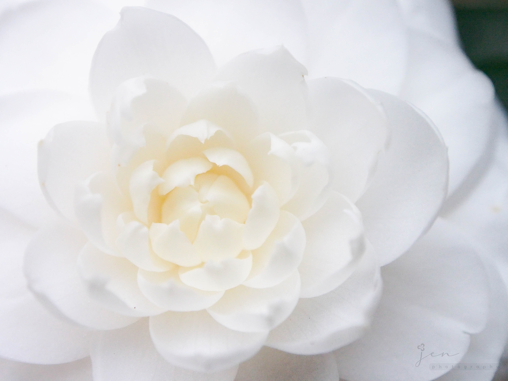 The Chinese University of Hong Kong, Hong Kong