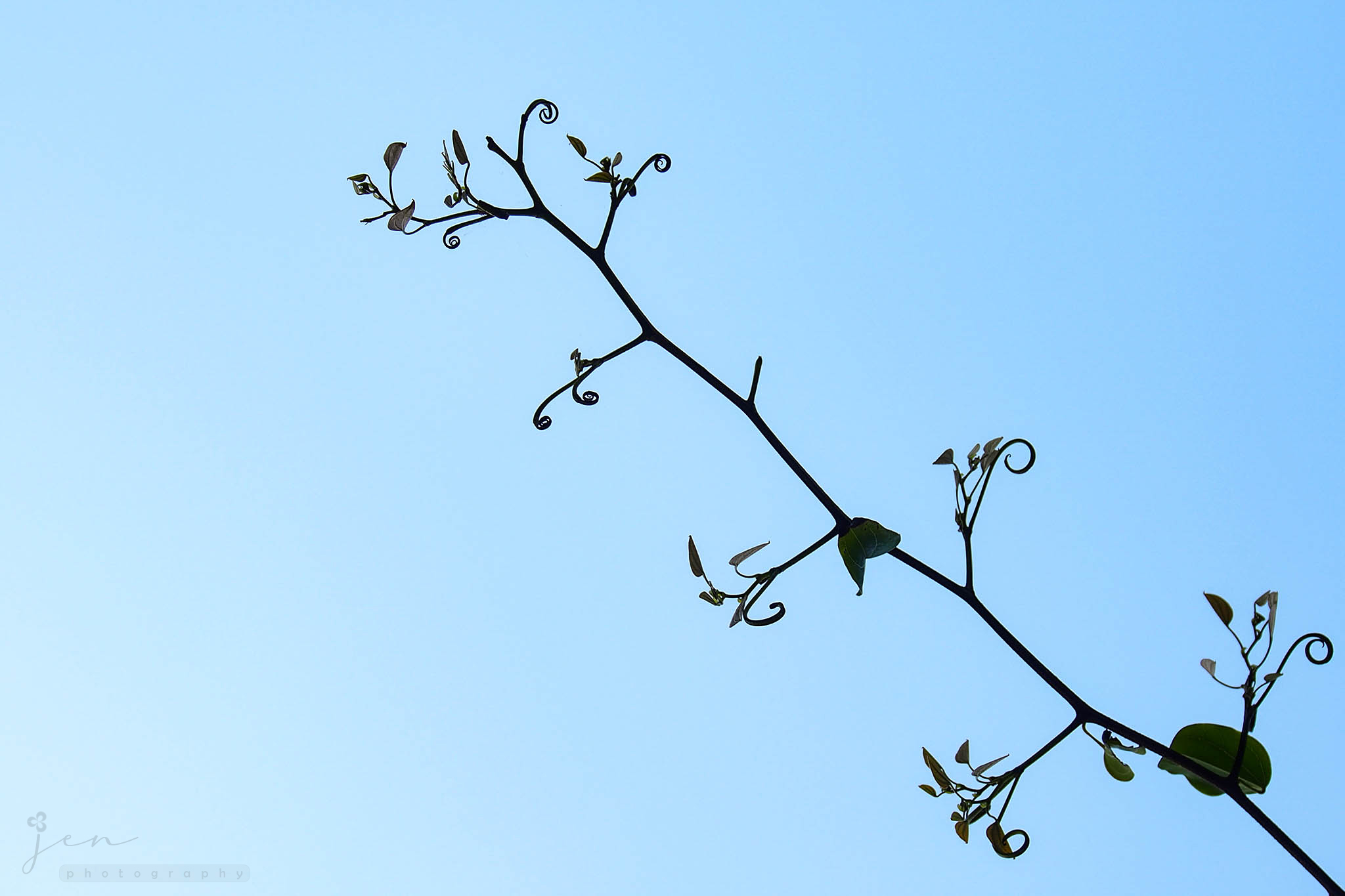 Cheung Chau, Hong Kong
