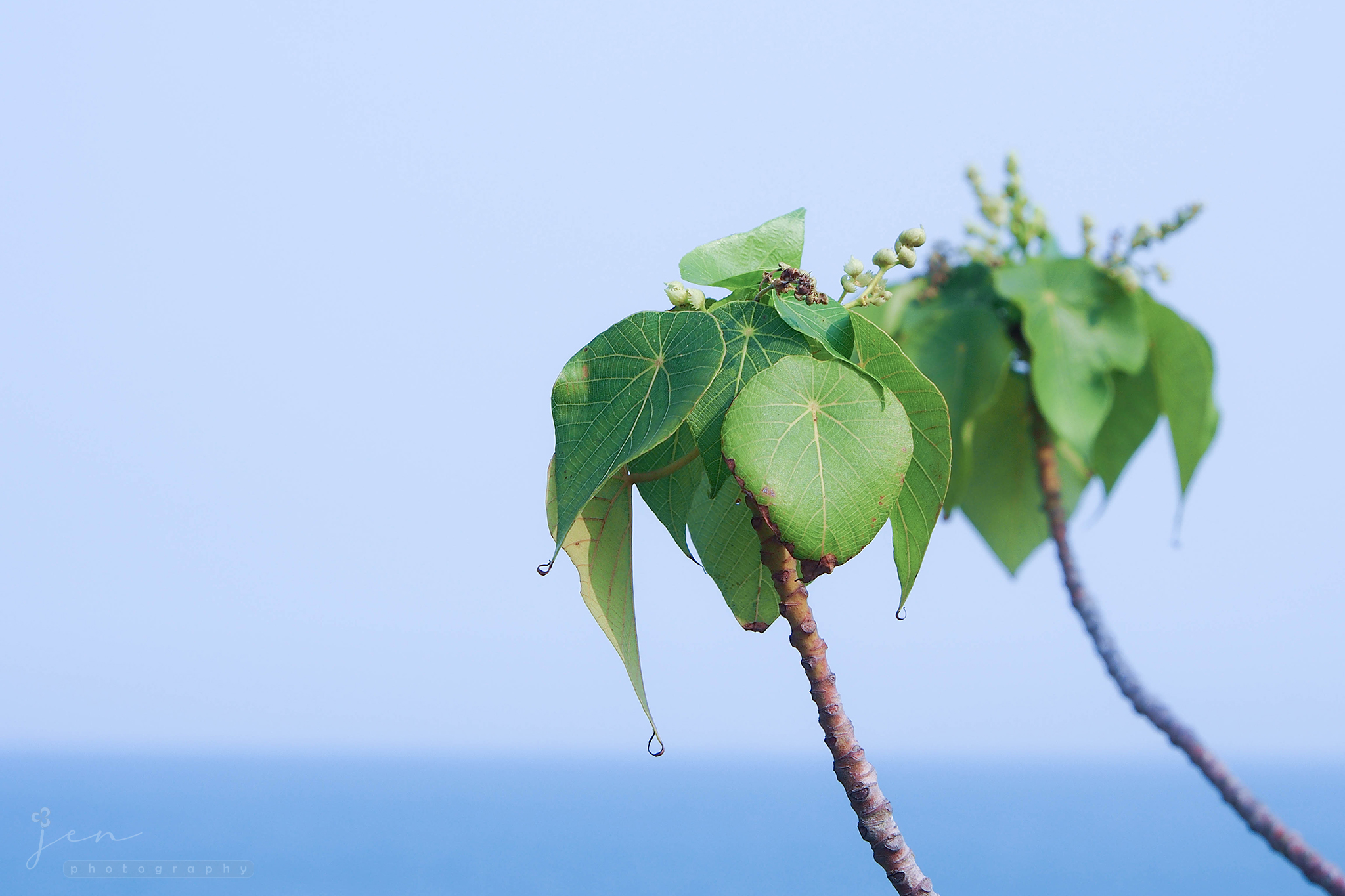Cheung Chau, Hong Kong