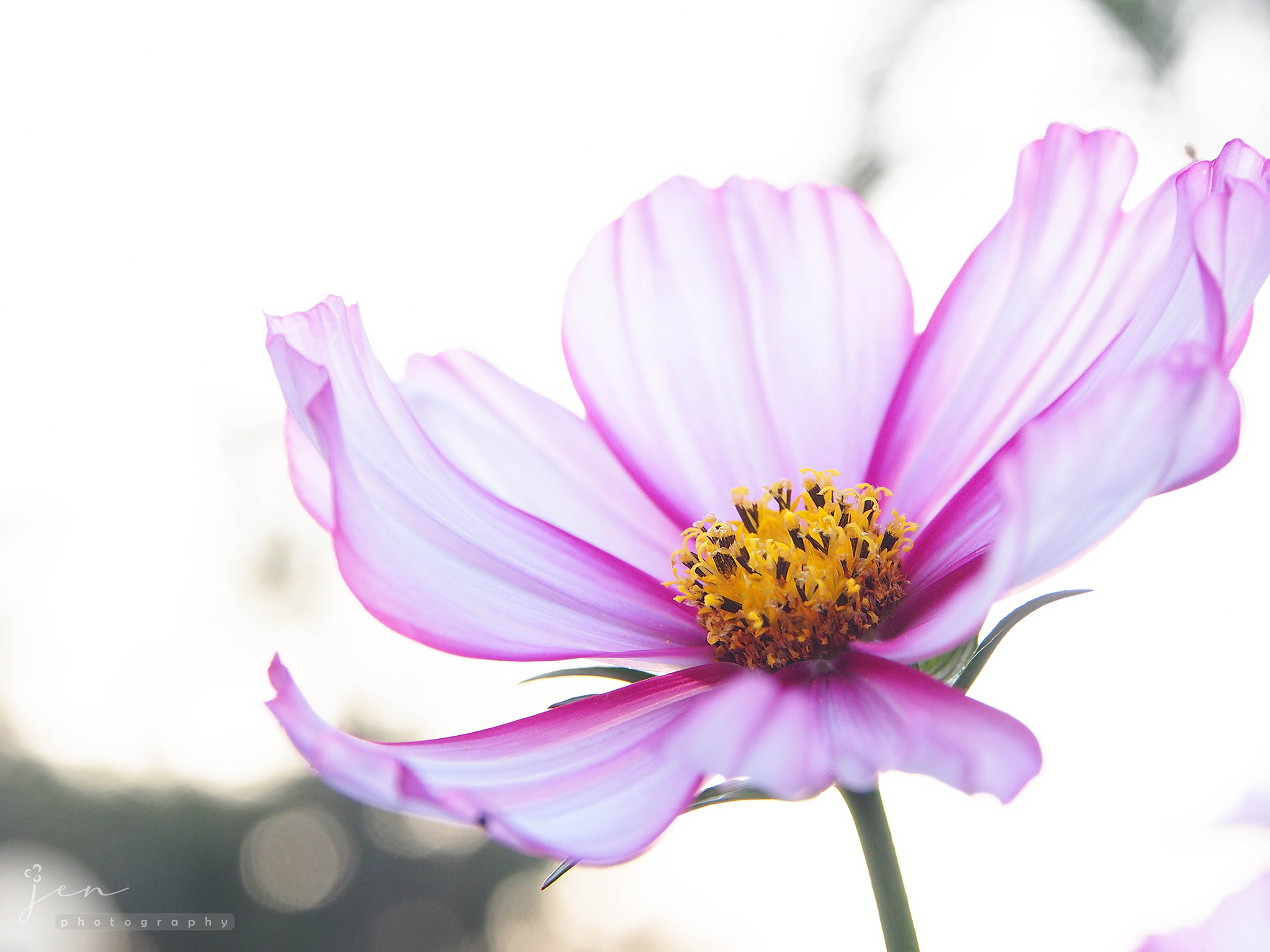North District Park, Hong Kong