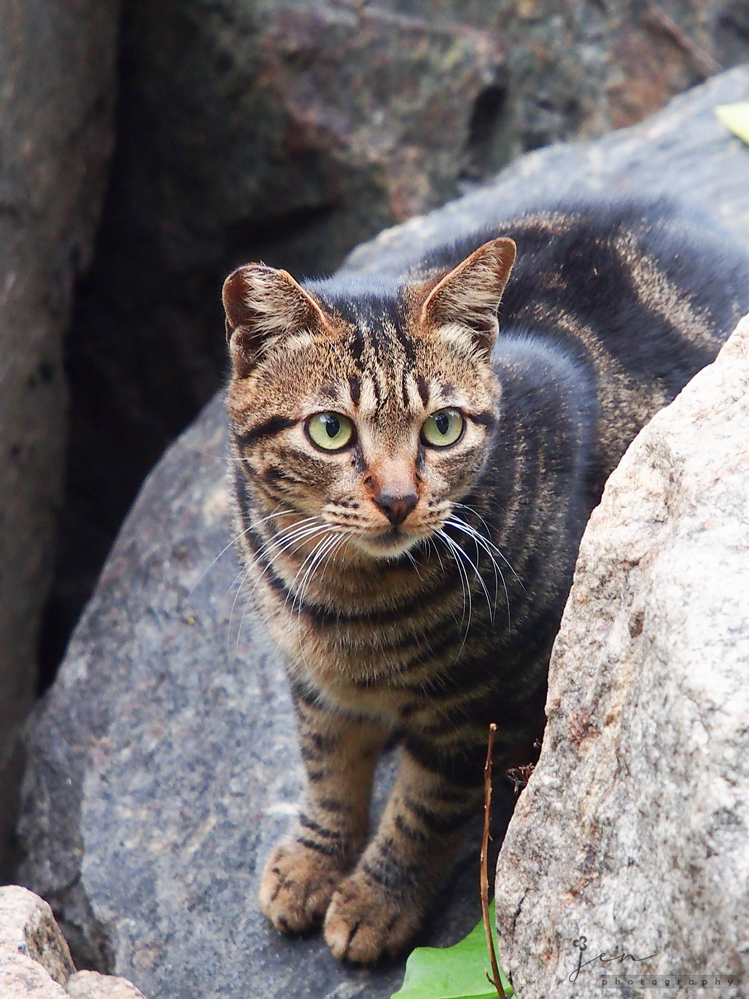Tuen Mun Pier, Hong Kong