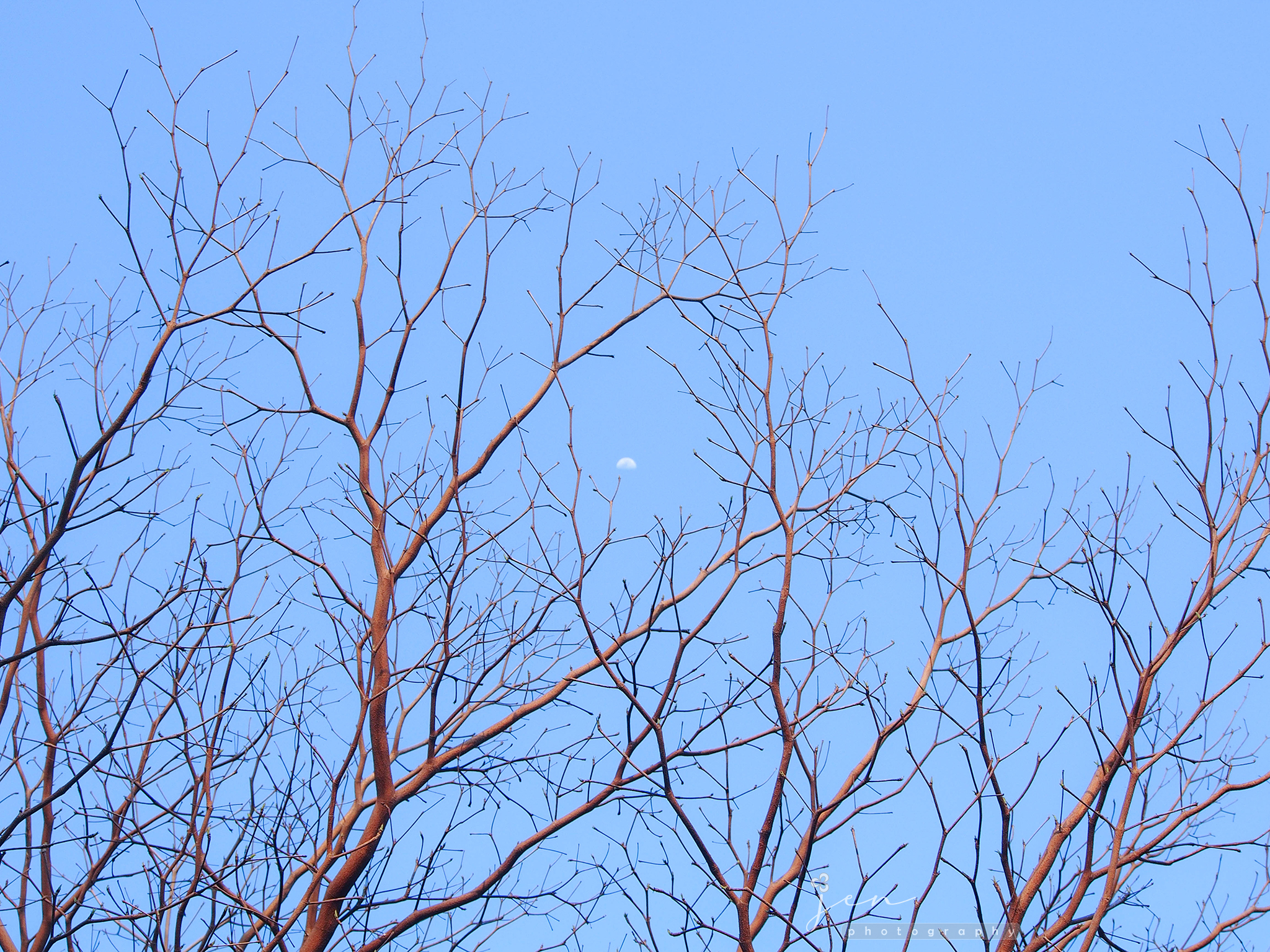 Kai Tak Cruise Terminal, Hong Kong