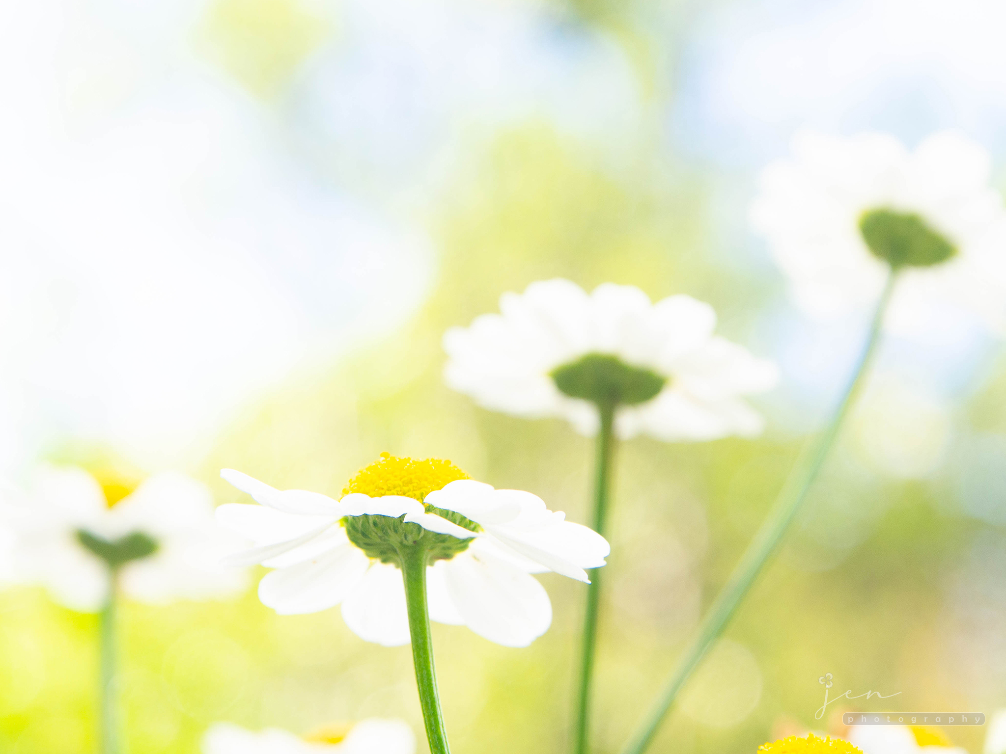 University of Bristol Botanic Garden, Bristol