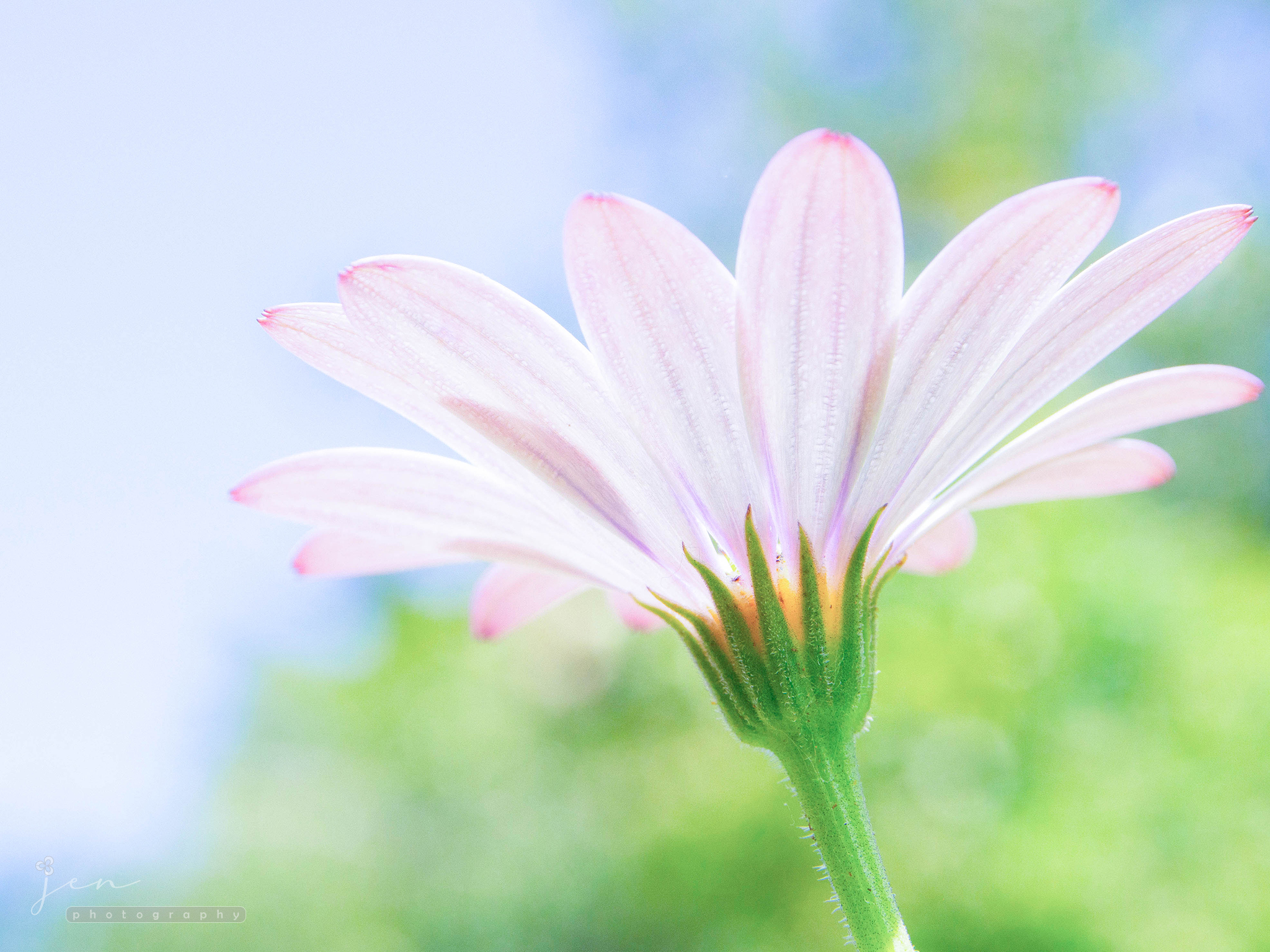 University of Bristol Botanic Garden, Bristol