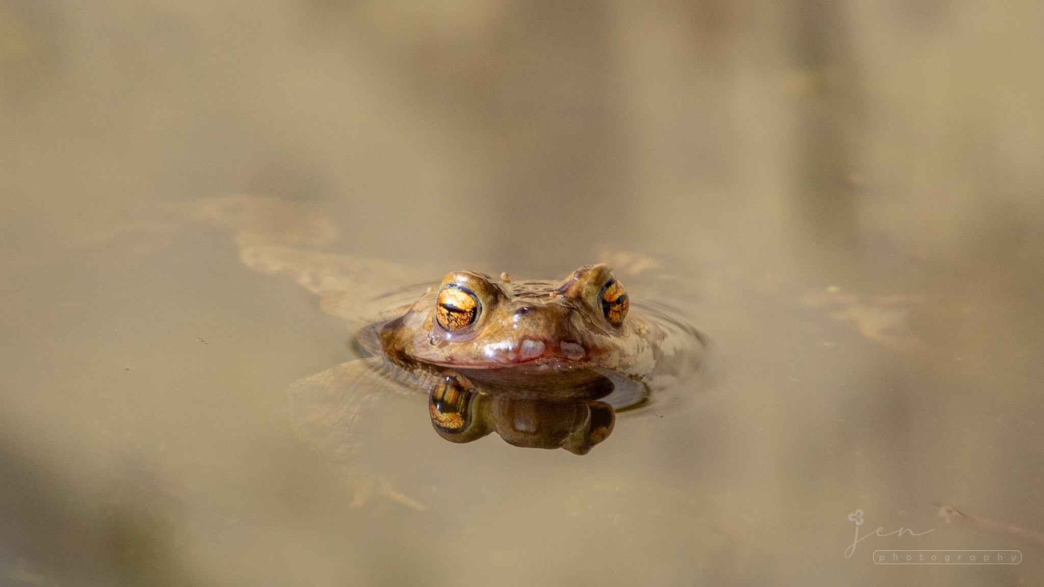 British Wildlife Centre, London